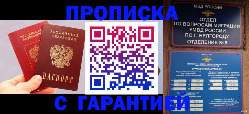 прописка 2025 в Новоульяновске